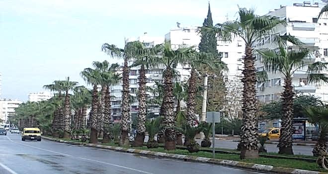 Çaybaşı Mahallesi Çilingir